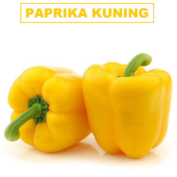 PAPRIKA KUNING 1 PCS (250-300 gr)