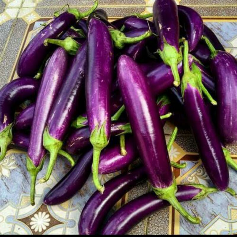 TERONG UNGU 500 gr