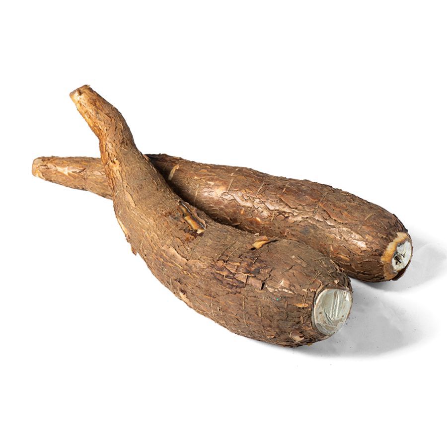 SINGKONG 1000 gr