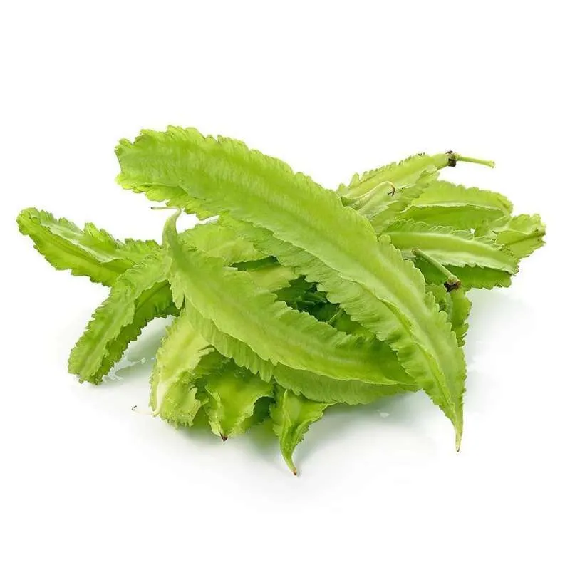 KECIPIR 500 gr