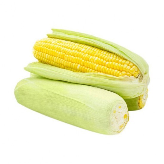 JAGUNG MANIS 1 PCS