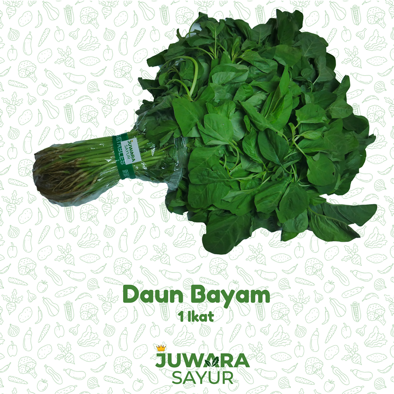 BAYAM 1 IKET