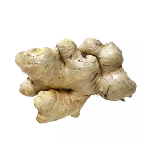 Jahe Gajah Segar 500g