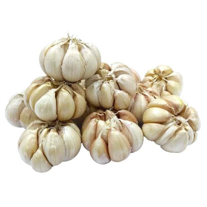 Bawang Putih Kating 500g
