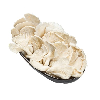 Jamur Tiram Segar 250g