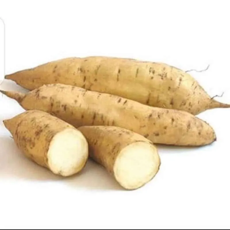 UBI PUTIH 500 gr