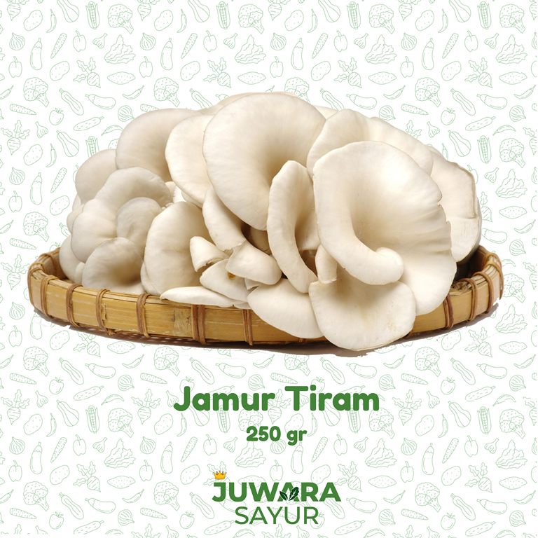 JAMUR TIRAM 250gr