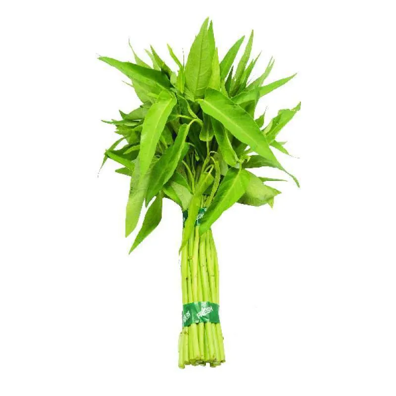 Kangkung Cabut Segar Ikat